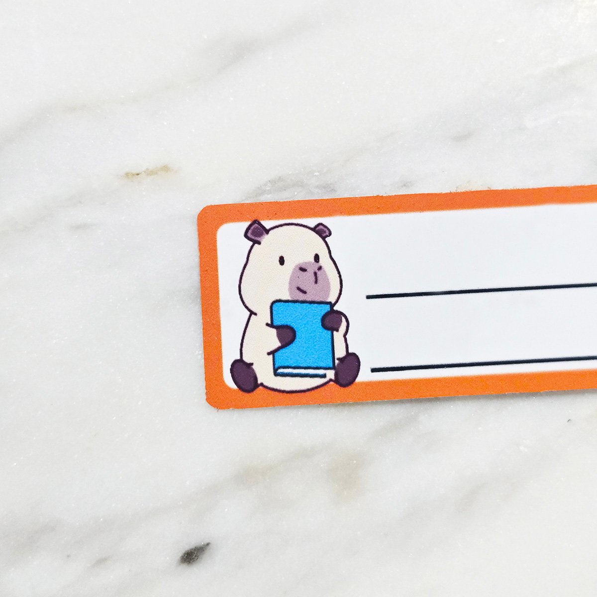 Coby School Book Labels 7-Color Design 2